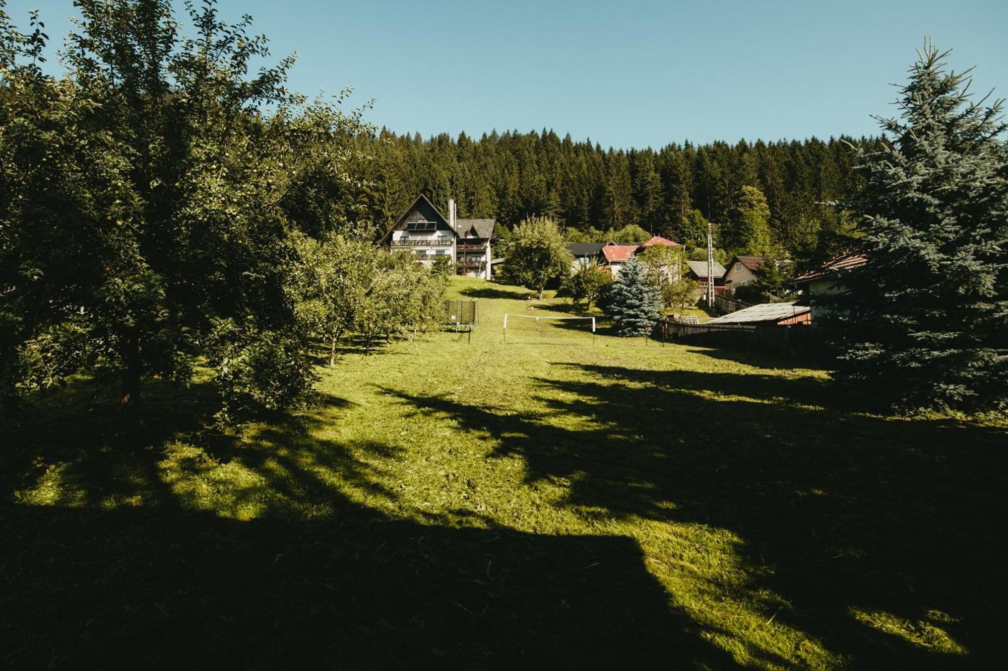 Bucovina Lodge Pension Vama  Zewnętrze zdjęcie