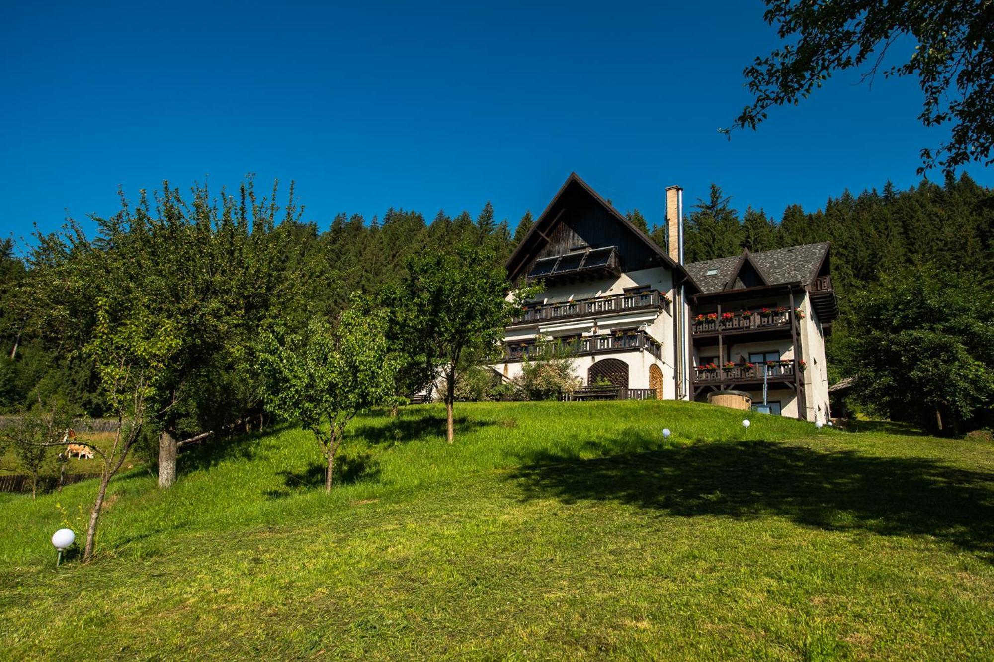 Bucovina Lodge Pension Vama  Zewnętrze zdjęcie