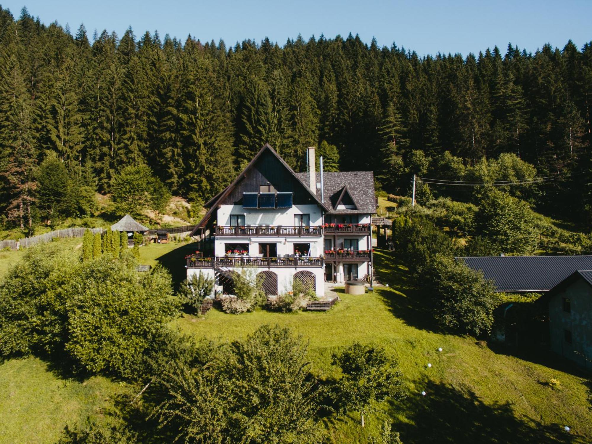 Bucovina Lodge Pension Vama  Zewnętrze zdjęcie