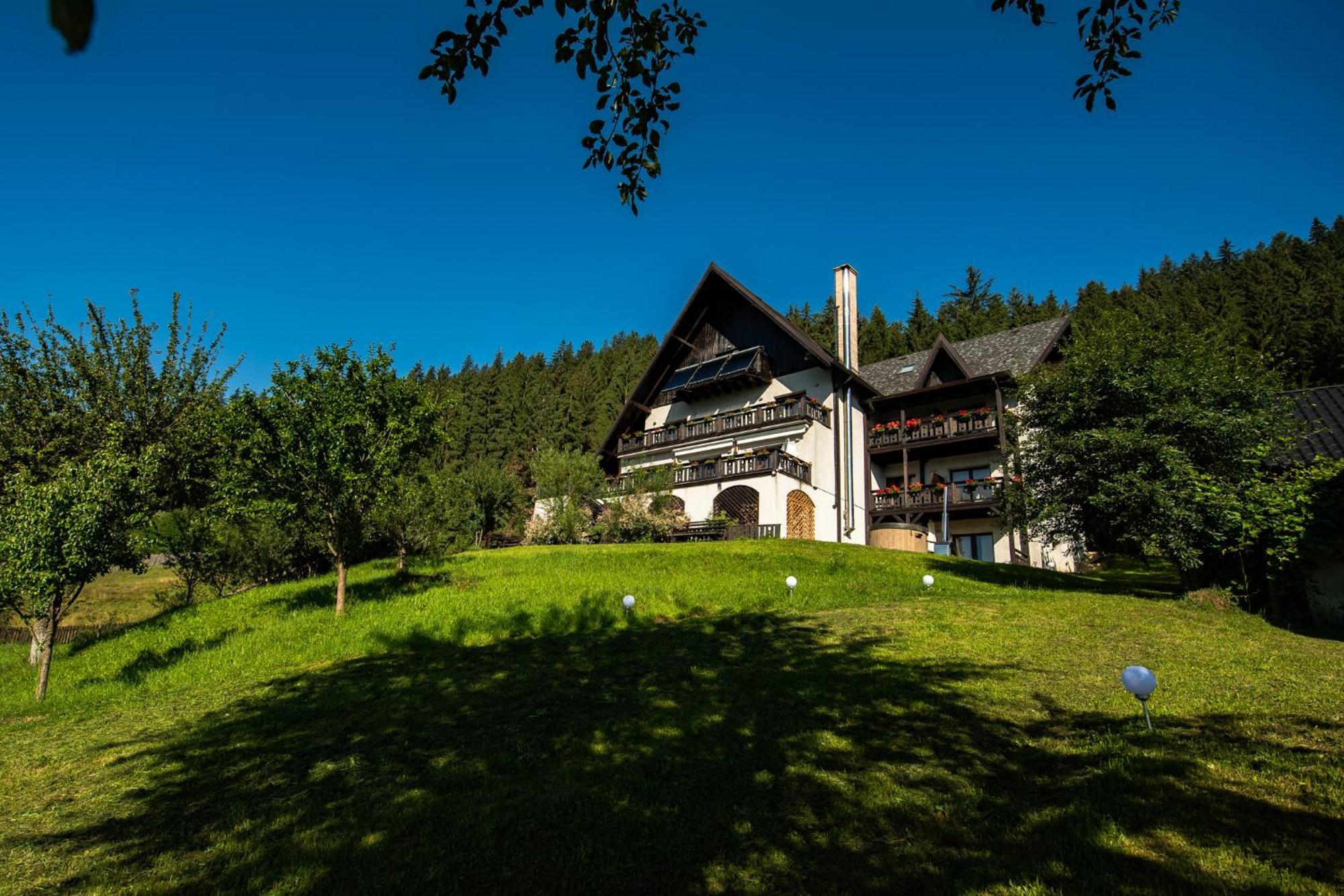 Bucovina Lodge Pension Vama  Zewnętrze zdjęcie